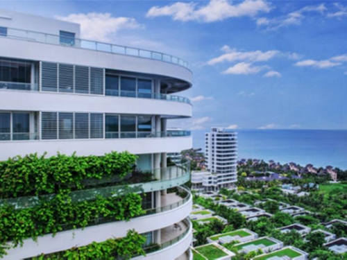 濱海麗景房產限購政策分析~