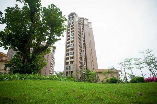 屯昌壹號VS晉園分析對比